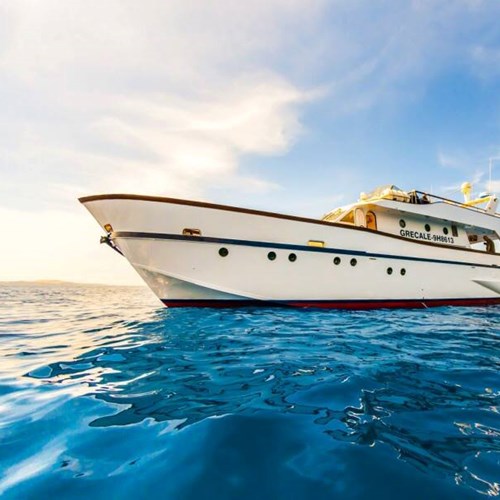Rent / charter Motor Boat for Boat Diving, Boat Parties, Conference & Incentive / Meetings / Corporate, Fishing Trips, Full Day Tour & Private Charter in Malta & Gozo - Ex Italian Navy Grecale