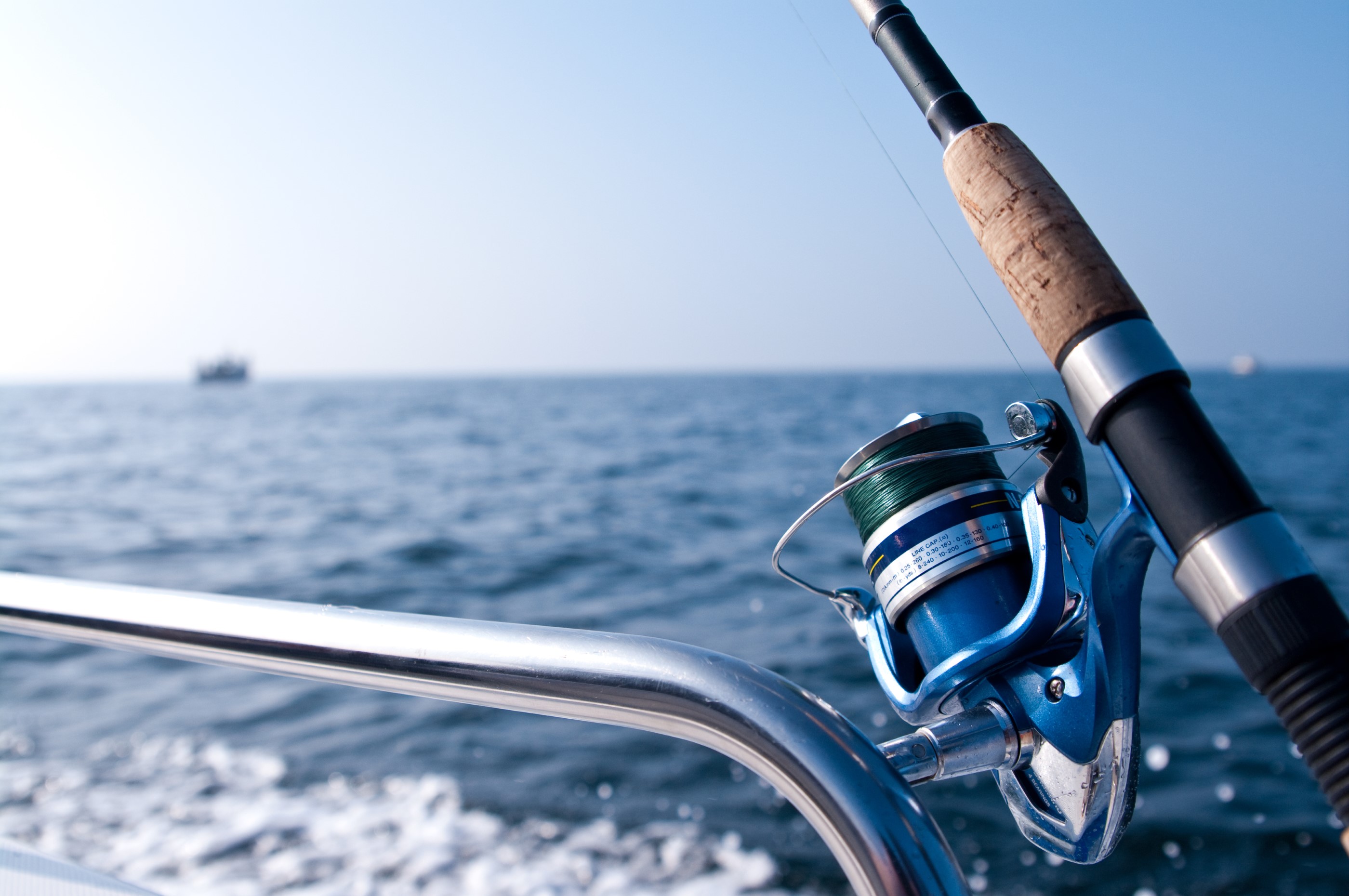 Book Your Fishing Trip in Malta & Gozo
