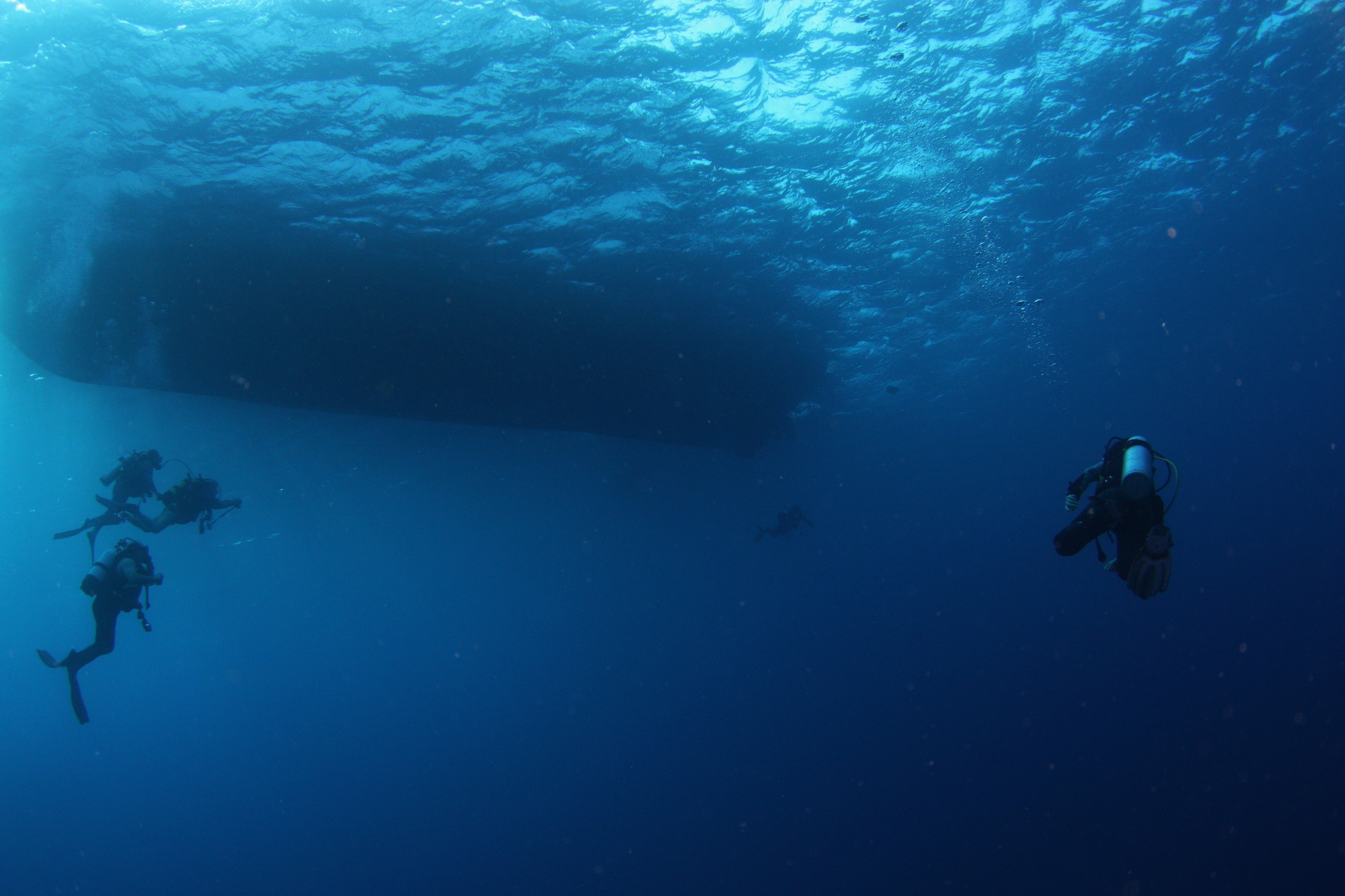 Organise a Boat Diving Trip in Malta & Gozo